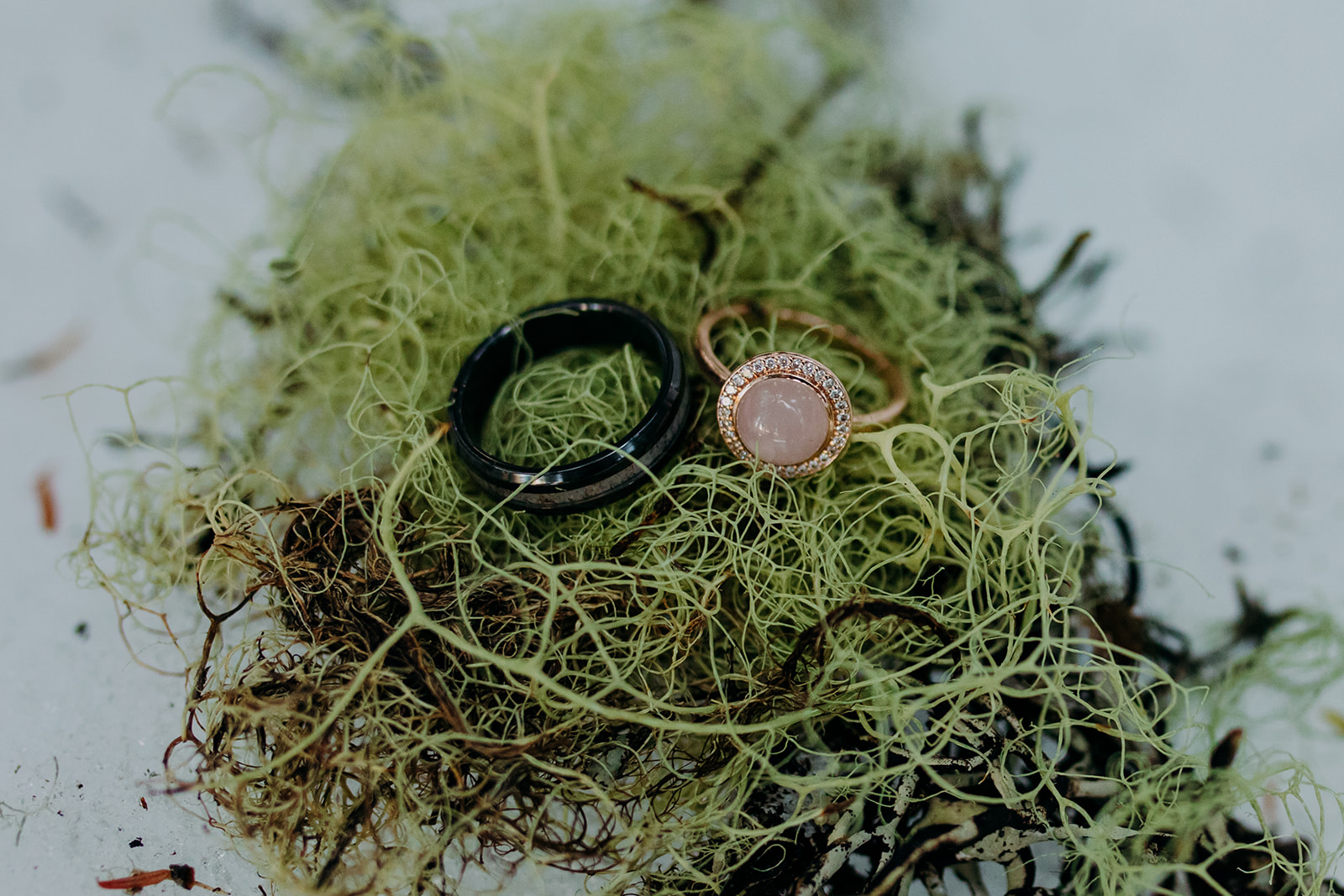 Engagement rings sitting on some moss