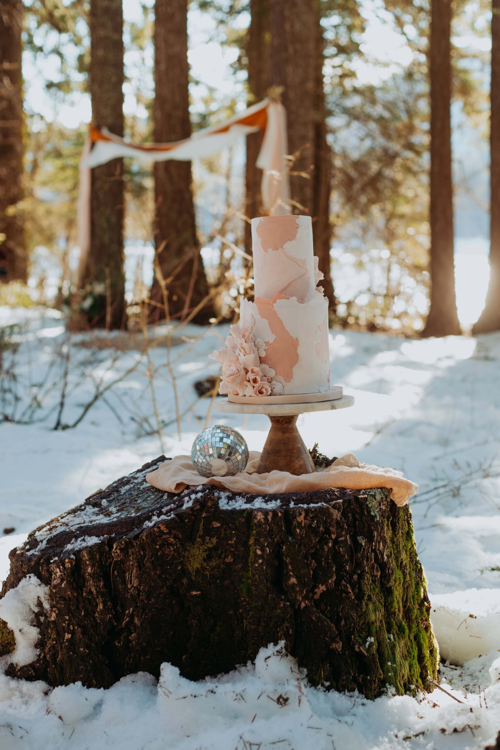 a pink cake sits on a tree stump with a small disco ball for a Winter elopement at Lake Easton in Washington
