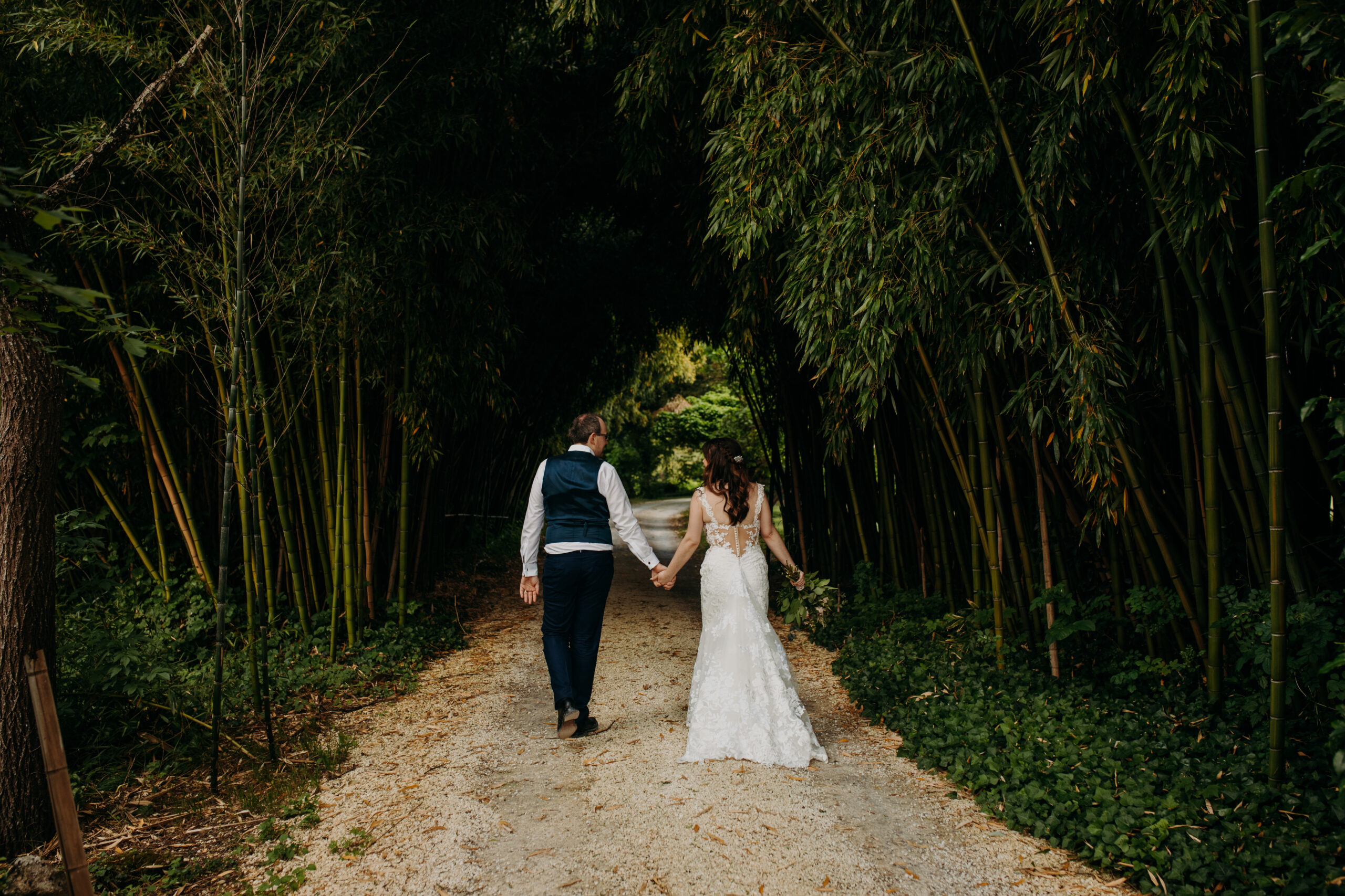 groom and bride face away from the camera holding hands in grove of bamboo as they look at each other lovingly. 