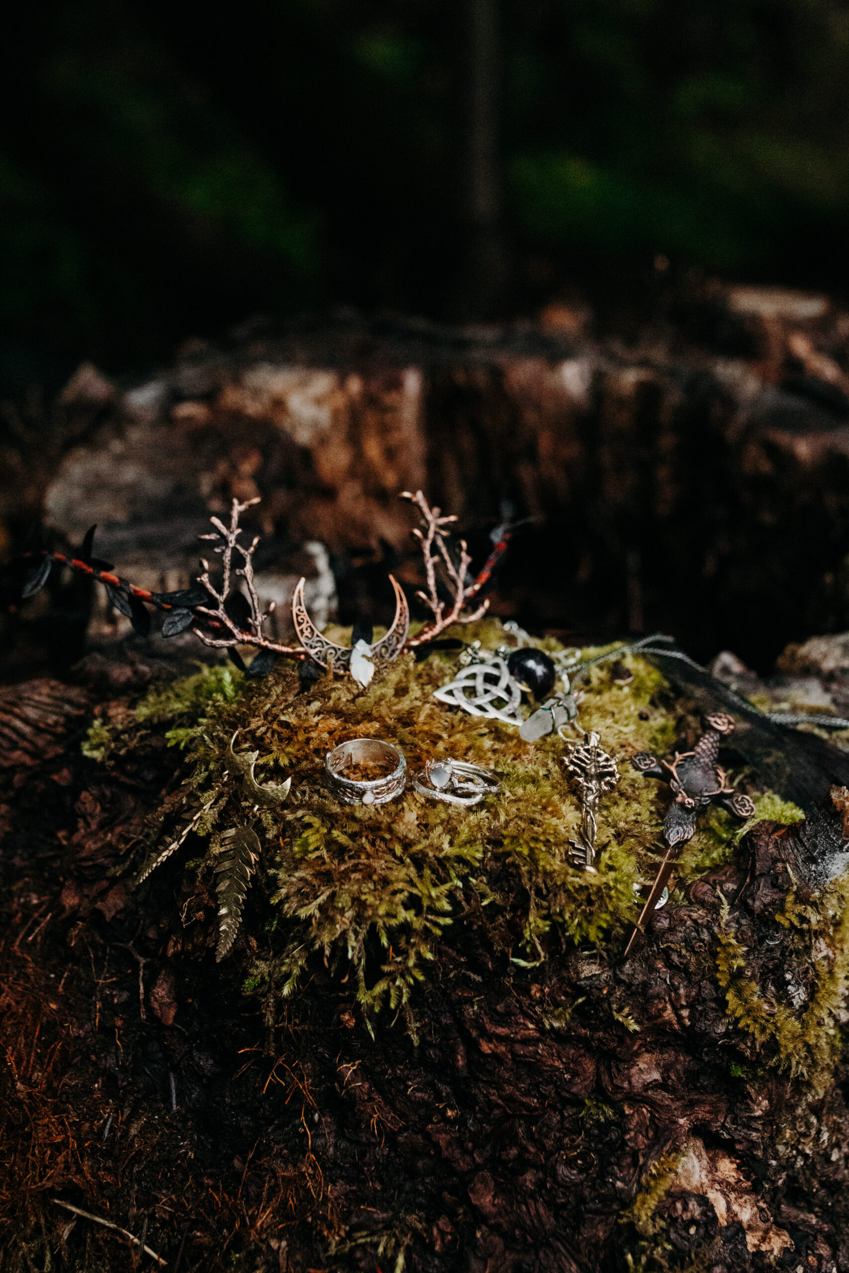 crown and various other jewelry pieces sit atop mossy stump in medford oregon