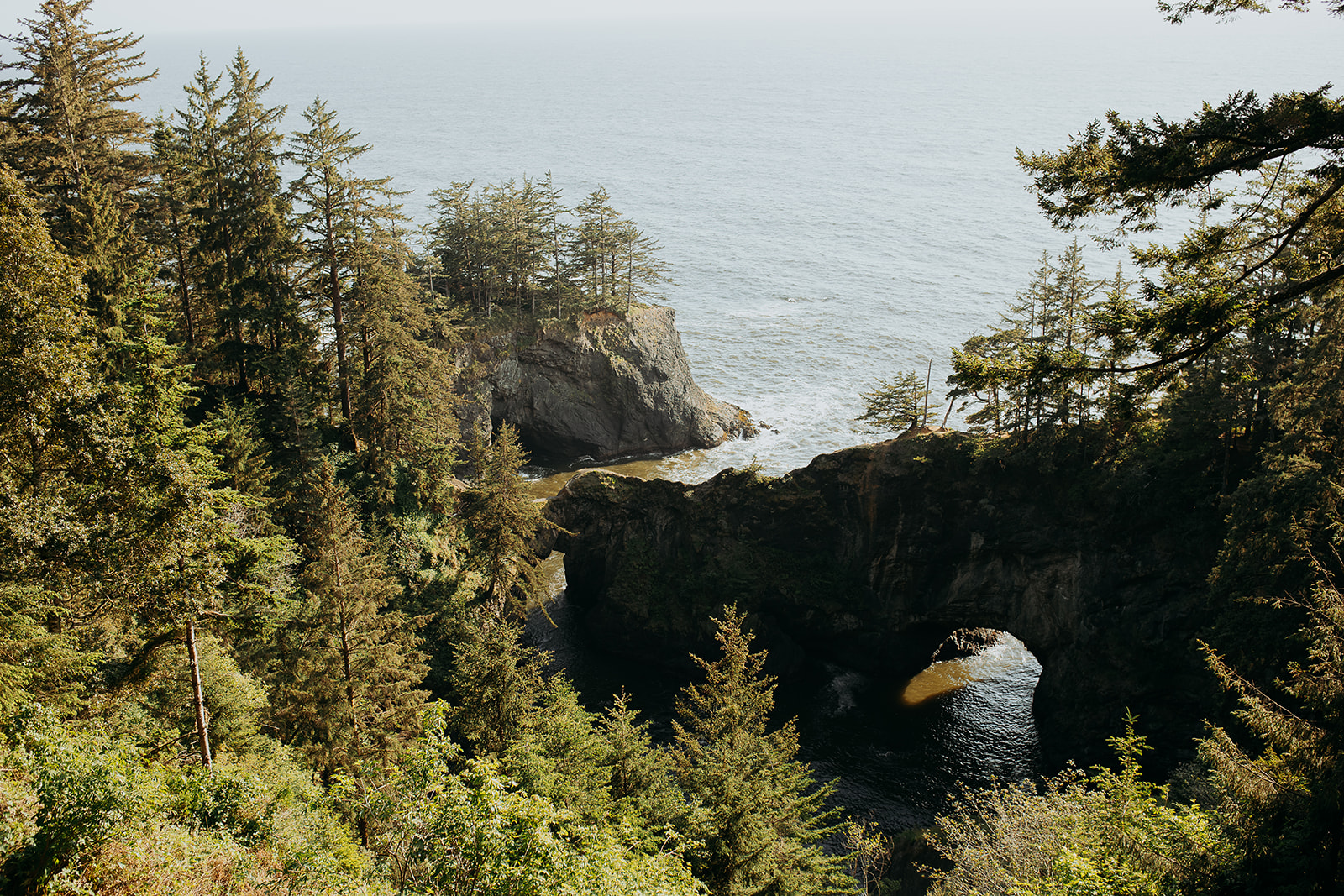 Photo of the Natural Bridges at the Samuel H. Boardman corridor for a Brookings, Oregon elopement