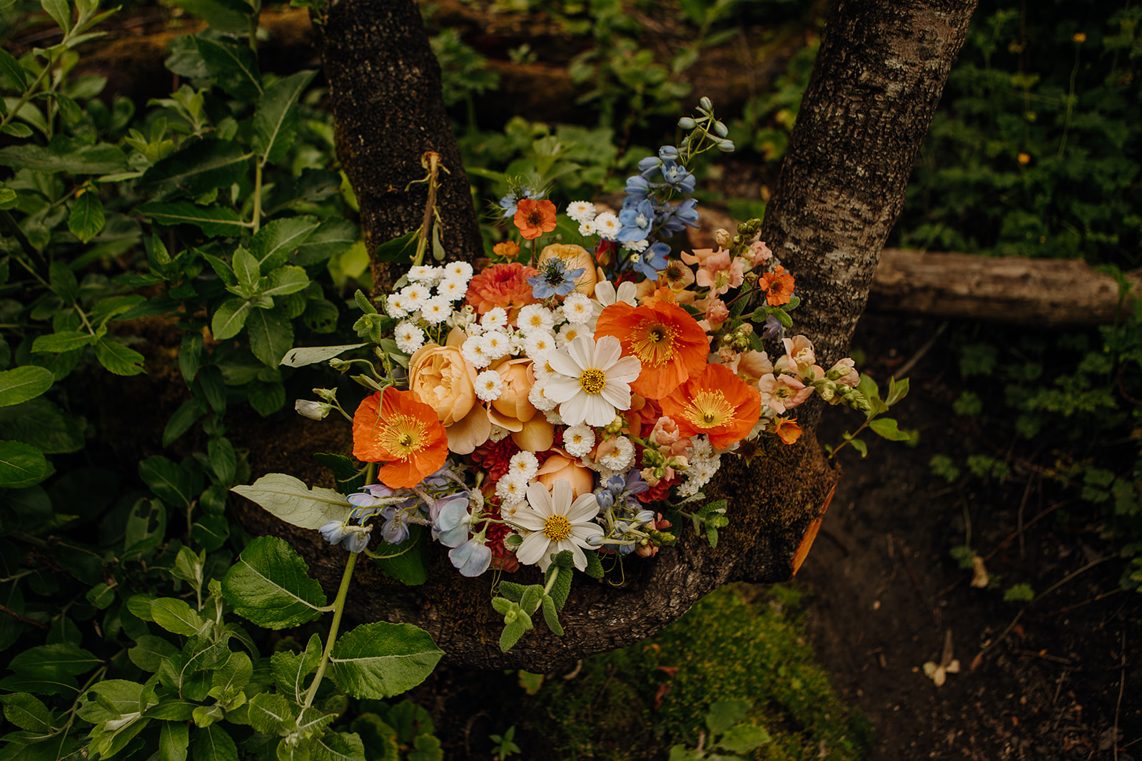 a bouquet of orange and blue flowers nestled in a tree nook surrounded by lush greenery