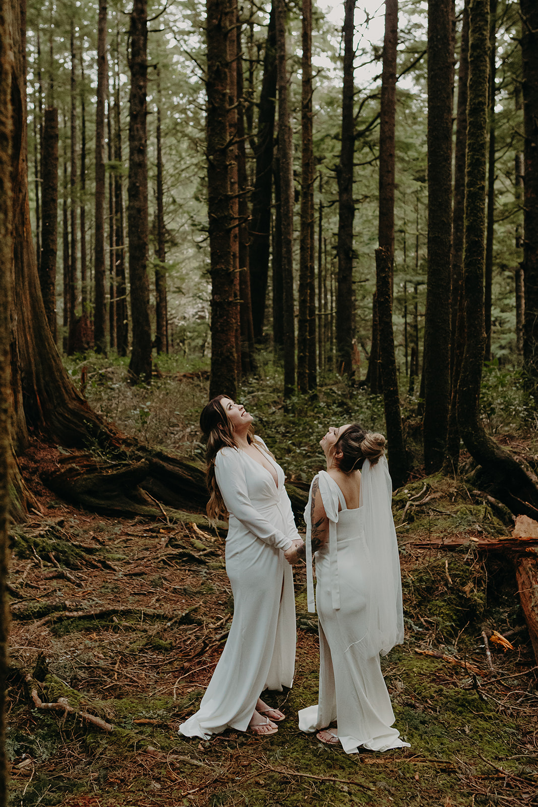 two brides stand hand in hand in a forest staring up at the canopy of trees