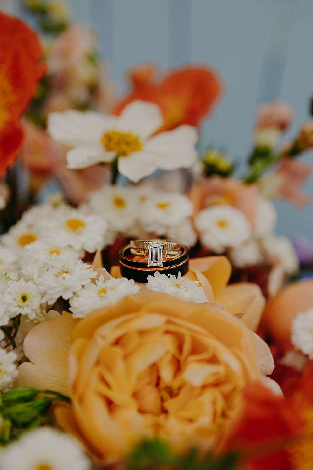 close up photo of wedding rings on a bed of orange photos