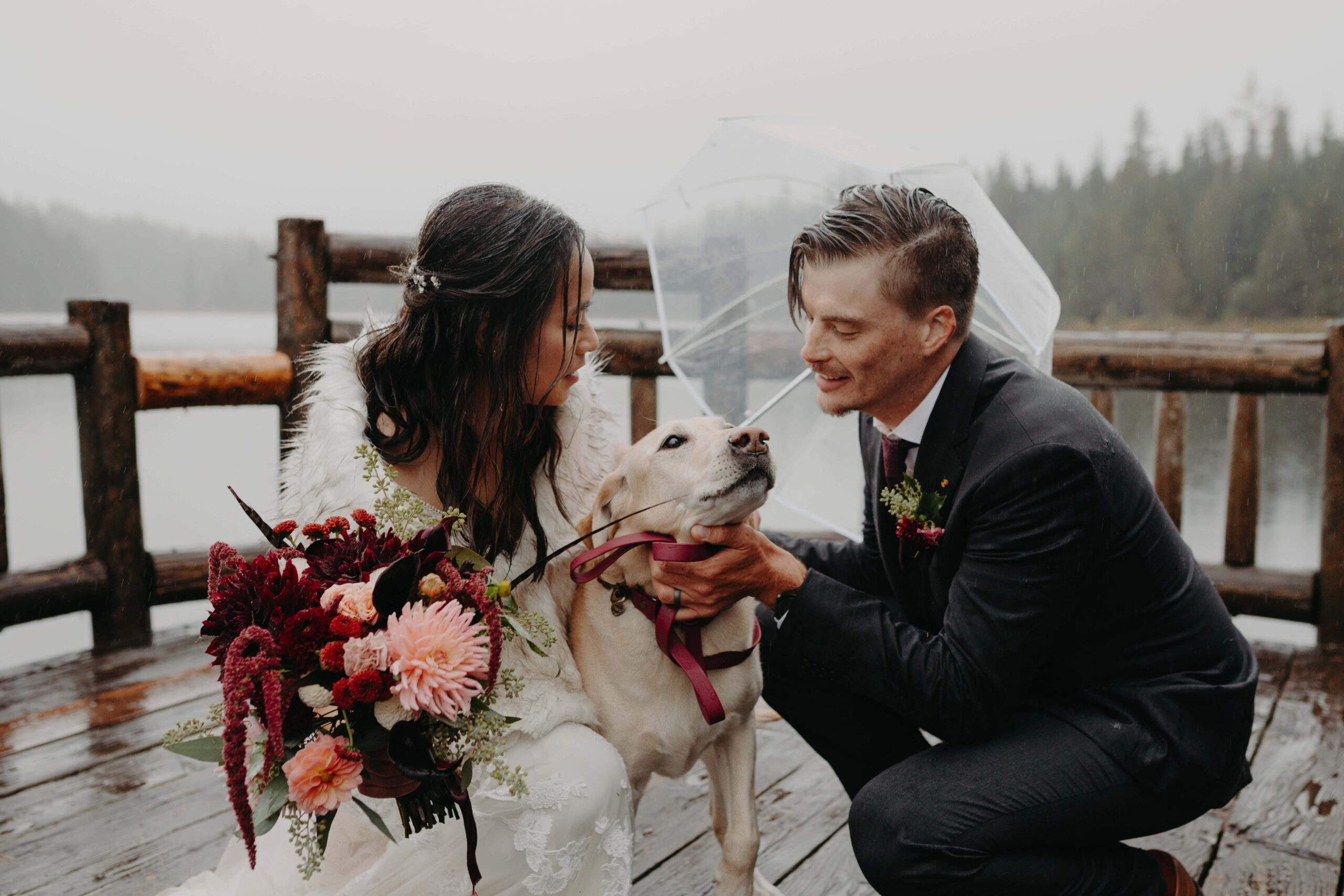 a bride and groom bend down on a dock with their dog in between them for wedding photos