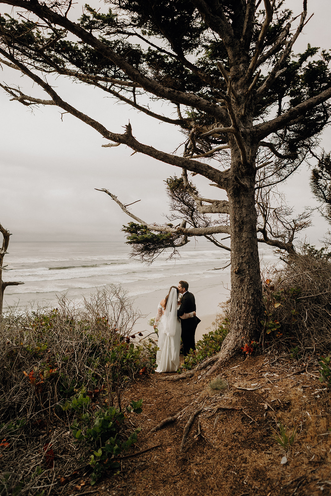 A bride and groom stand beneath a large tree, overlooking a serene beach with gentle waves. The scene conveys romance and tranquility.