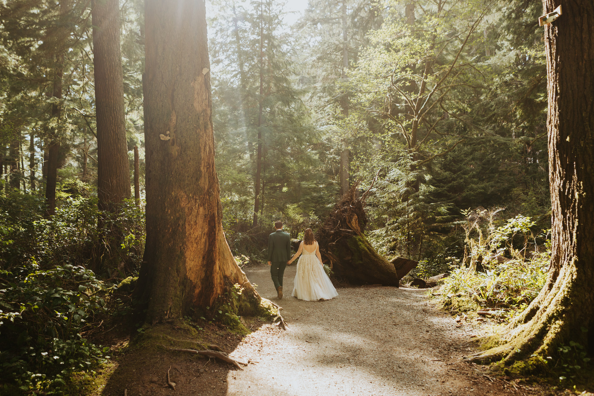 A newlywed couple walks hand in hand down a sunlit forest path, surrounded by tall trees and greenery, conveying romance and serenity.